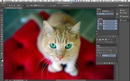 Photoshop 2014: Software Finally Worth Renting | Photo Editing Software and Applications | Scoop.it