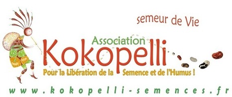 Kokopelli — Les tambours de Gaïa se sont réveillés | décroissance | Scoop.it