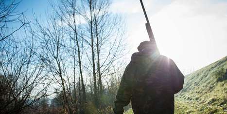 Une nouvelle série d’accidents rappelle les dangers de la chasse | Biodiversité | Scoop.it