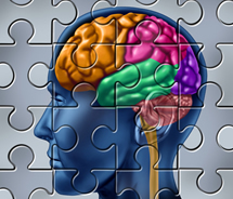 'Google effect' leads to changes in memory | 21st Century Education | eSchoolNews.com | Robótica Educativa! | Scoop.it