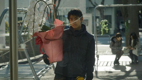 &Agrave; voir au cin&eacute;ma: &laquo;Des fleurs pour Tokyo&raquo; et &laquo;Girl&raquo; | Culture | Scoop.it