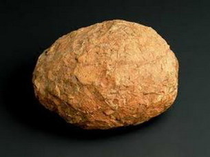 huevos de dinosaurios petrificados