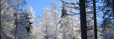 Metsäalan sanastoa | Metsänomistajat | 1Uutiset - Lukemisen tähden | Scoop.it