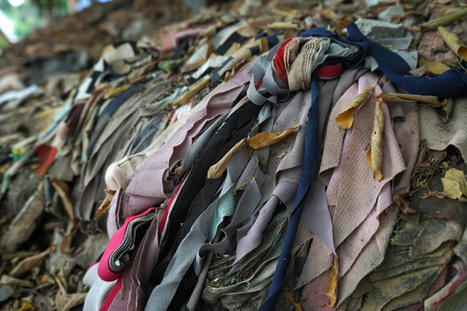 UK Waste Management Firm Invests in End-to-End Recycling Complex – | Fashion Law and Business | Scoop.it