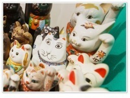Un office du tourisme japonais invente le Cat Street View | Innovations, Initiatives dans le Tourisme et l'Evenementiel | Scoop.it