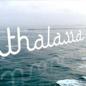 Thalassa - Méditerranée, enquête sur une mer en danger | GREENEYES | Scoop.it