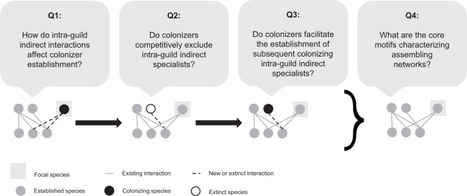 The role of intra-guild indirect interactions in assembling plant-pollinator networks | Papers | Scoop.it