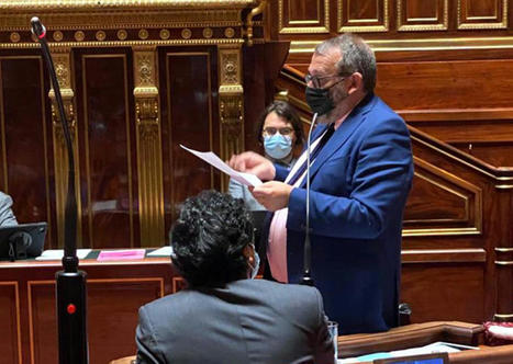 Le S&eacute;nat revient &agrave; la charge sur la concurrence d&eacute;loyale du e-commerce | Am&eacute;nagement & d&eacute;veloppement &eacute;conomique. Urbanisme, foncier & Habitat | Scoop.it