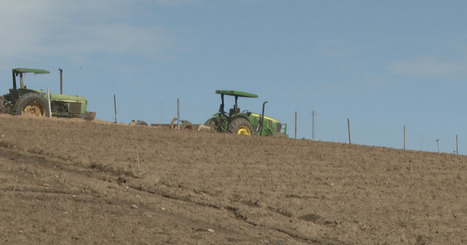 Diesel costs push farmers to scale back as prices hit record highs amid Iran war - 10news.com | Operation Deimos | Scoop.it