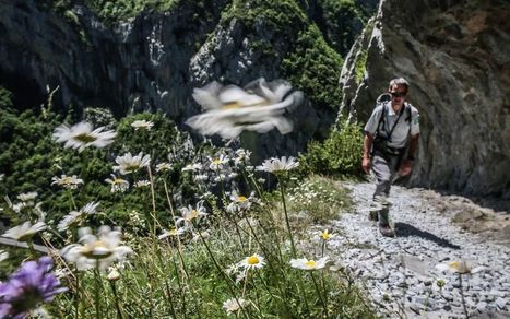 « On est à l’os » : le parc national des Pyrénées au pain sec  | Vallées d'Aure & Louron - Pyrénées | Scoop.it