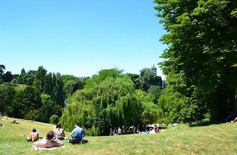 &laquo;&nbsp;Les arbres fa&ccedil;onnent l&rsquo;imaginaire de Paris&nbsp;&raquo; | Nature en ville | Scoop.it