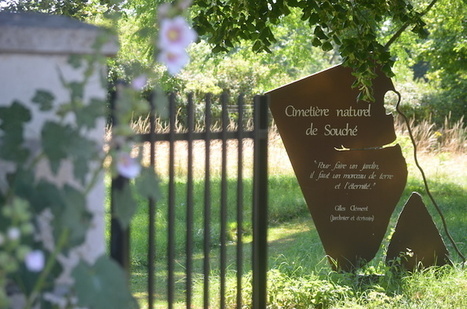 Cercueils en carton et corps rendus à l’humus : le cimetière devient écolo | Les Colocs du jardin | Scoop.it