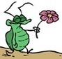 Surprise ! Les insectes développent une résistance à un insecticide #OGM après qu’on en ait abusé | EntomoScience | Scoop.it