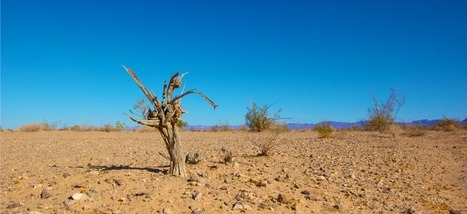 Réchauffement climatique: la planète sera inhabitable bien plus tôt qu'on ne le pense | Economie Responsable et Consommation Collaborative | Scoop.it