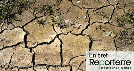 La sécheresse n’épargnera aucune région de France | Toxique, soyons vigilant ! | Scoop.it