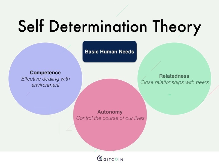 Self-Determination Theory | Nudges | Bee...