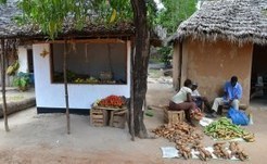 East Africa | Bioscience Should Underpin Agriculture | Climate Change & DRR in East Africa | Scoop.it