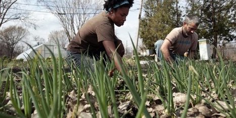 La Tribune : "Maires, responsables d'assurer l'autonomie alimentaire des villes | Ce monde à inventer ! | Scoop.it