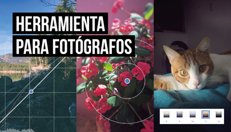 10 razones para editar fotografías desde tu celular con Snapseed | TIC & Educación | Scoop.it