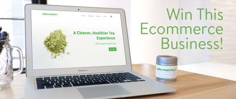 Ecommerce - (via Here’s How You Can Win an Ecommerce... | Tampa Florida | Scoop.it