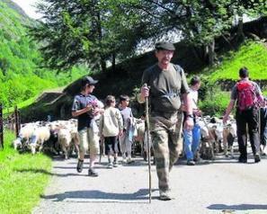 Les transhumances gelées | Vallées d'Aure & Louron - Pyrénées | Scoop.it