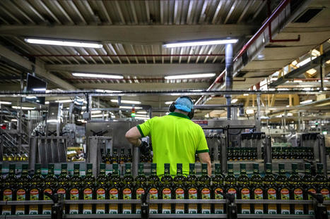 Olive oil shortage in SPAIN, elsewhere leads to high prices - The | CIHEAM Press Review | Scoop.it