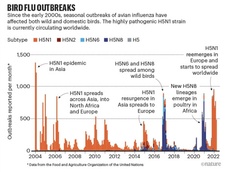 How the Current Bird Flu Strain Evolved To Be So Deadly - Nature | Virus World | Scoop.it