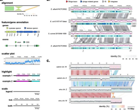 A-liner: linear alignment visualizer for genome comparisons | bft | RMH | Scoop.it