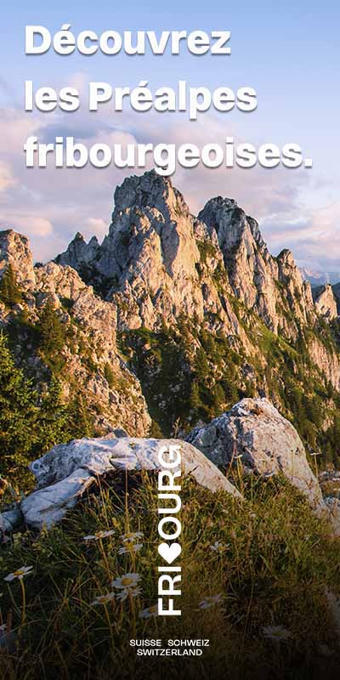 D&eacute;velopper la marche sur son territoire : une &eacute;tude du Cerema&nbsp; | Lire, se documenter, savoir... Bibliographie portant sur nos th&eacute;matiques | Scoop.it