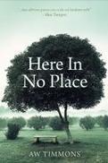 It’s All About Thinking: Here In No Place by A. W. Timmons | The Irish Literary Times | Scoop.it