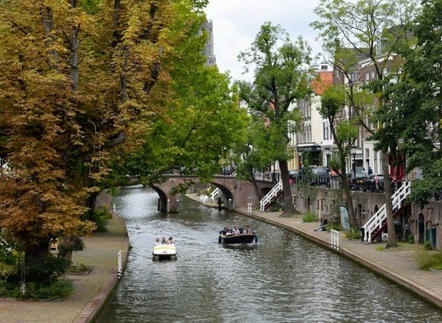 Utrecht will have a food forest, in the middle of a neighbourhood | TheMayor.EU | Energy Transition in Europe | www.energy-cities.eu | Scoop.it