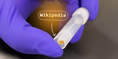 Komplettes Wikipedia auf DNA-Strängen gespeichert | #STEM #DNAMemory | 21st Century Innovative Technologies and Developments as also discoveries, curiosity ( insolite)... | Scoop.it