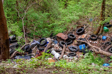 Dépôt sauvage d'ordures sur une route départementale : qui est responsable de l’enlèvement ? | Veille juridique du CDG13 | Scoop.it