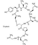 Will Oxytocin Keep the Virtual Office Humming? | Empathy Movement Magazine | Scoop.it