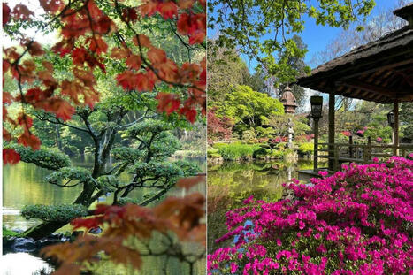 À 2h30 de Paris, découvrez le plus grand jardin japonais d’Europe | Ma douce France | Scoop.it