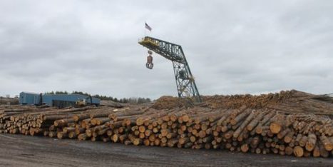 The price of wood is spiking. That’s costing consumers, but boosting Maine’s forest industry. | Timberland Investment | Scoop.it