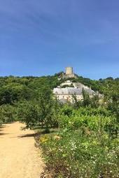 Jardins ouverts: 5 potagers insolites à découvrir à Paris et en île-de-france | ESPACES VEGETALISES URBAINS | Scoop.it