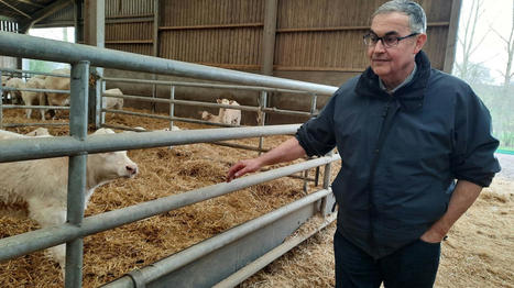 La question du bien-être animal s'impose chez les éleveurs : "On maîtrise mieux notre produit" | Actualité Bétail | Scoop.it