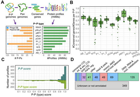 Efficient detection and typing of phage-plasmids | mBio | RMH | Scoop.it
