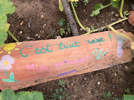 Bibliothèque au cœur du vivant : exemple à Saint Sulpice de Faleyrens – | Veille pour les concours des bibliothèques | Scoop.it