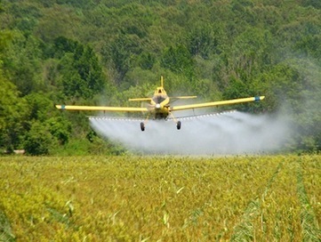 Investigative Report: Soaring Pesticide Use and Poisoning Linked to GE Crop Production | YOUR FOOD, YOUR ENVIRONMENT, YOUR HEALTH: #Biotech #GMOs #Pesticides #Chemicals #FactoryFarms #CAFOs #BigFood | Scoop.it