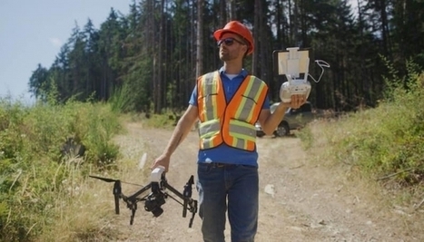 How technology is transforming B.C.’s forest industry | Timberland Investment | Scoop.it
