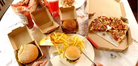 Le cerveau, accro &agrave; l&rsquo;huile de palme | ITERG - Nutrition, Sant&eacute; et Biochimie des Lipides | Scoop.it