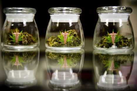 Sacramento medical marijuana dispensary battling IRS | Beckley News : Cannabis - Marijuana | Scoop.it