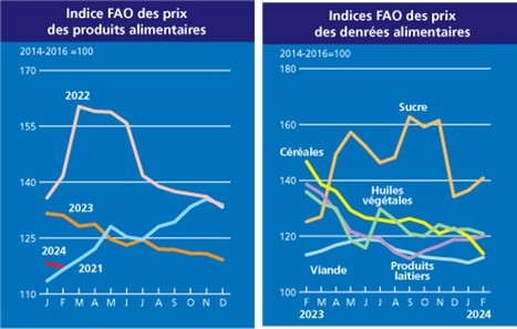 L’indice FAO des prix des produits alimentaires fléchit à nouveau en février, principalement sous l’effet de la baisse des prix des céréales | Lait de Normandie... et d'ailleurs | Scoop.it