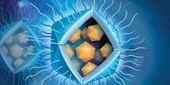 Viruses Reconsidered | The Scientist Magazine® | Plant and Seed Biology | Scoop.it
