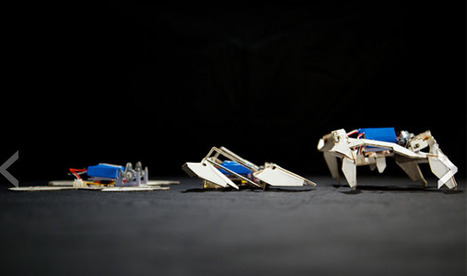 Cool Technology: Robot Assembles Itself, then Crawls Away | Technology in Business Today | Scoop.it