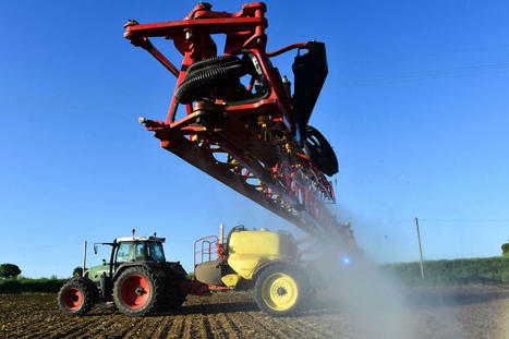 Pesticides : les procédures d’autorisation attaquées devant le Conseil d’Etat | EntomoNews | Scoop.it