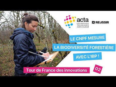 Pourquoi le CNPF a d&eacute;velopp&eacute; l&rsquo;IBP, un outil cl&eacute; pour &eacute;valuer la biodiversit&eacute; des for&ecirc;ts ? | Elevage et environnement | Scoop.it
