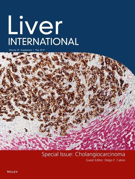Diagnostic and prognostic biomarkers in cholangiocarcinoma - Macias - 2019 - Liver International - Wiley Online Library | Mucosal Immunity | Scoop.it